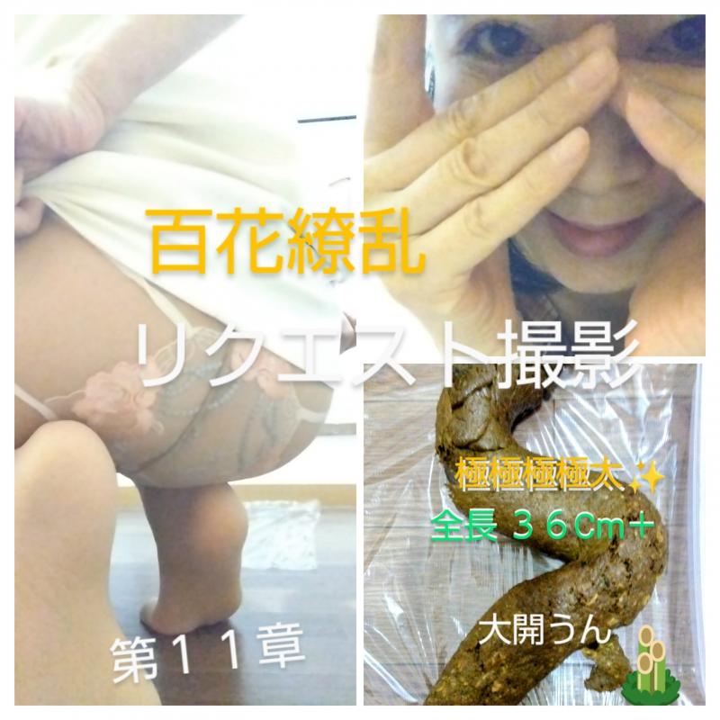 出品者名-写真